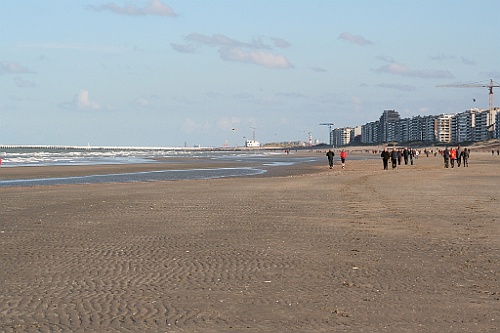 DePanne (14)